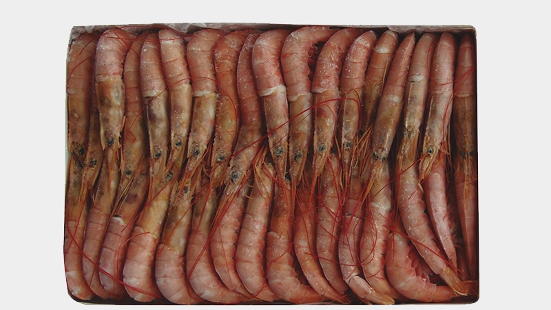 comprar gambon