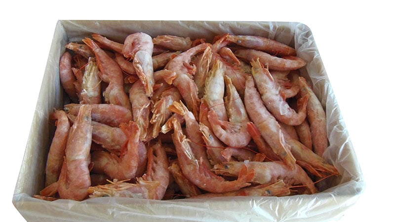comprar gambon al por mayor y por al menor