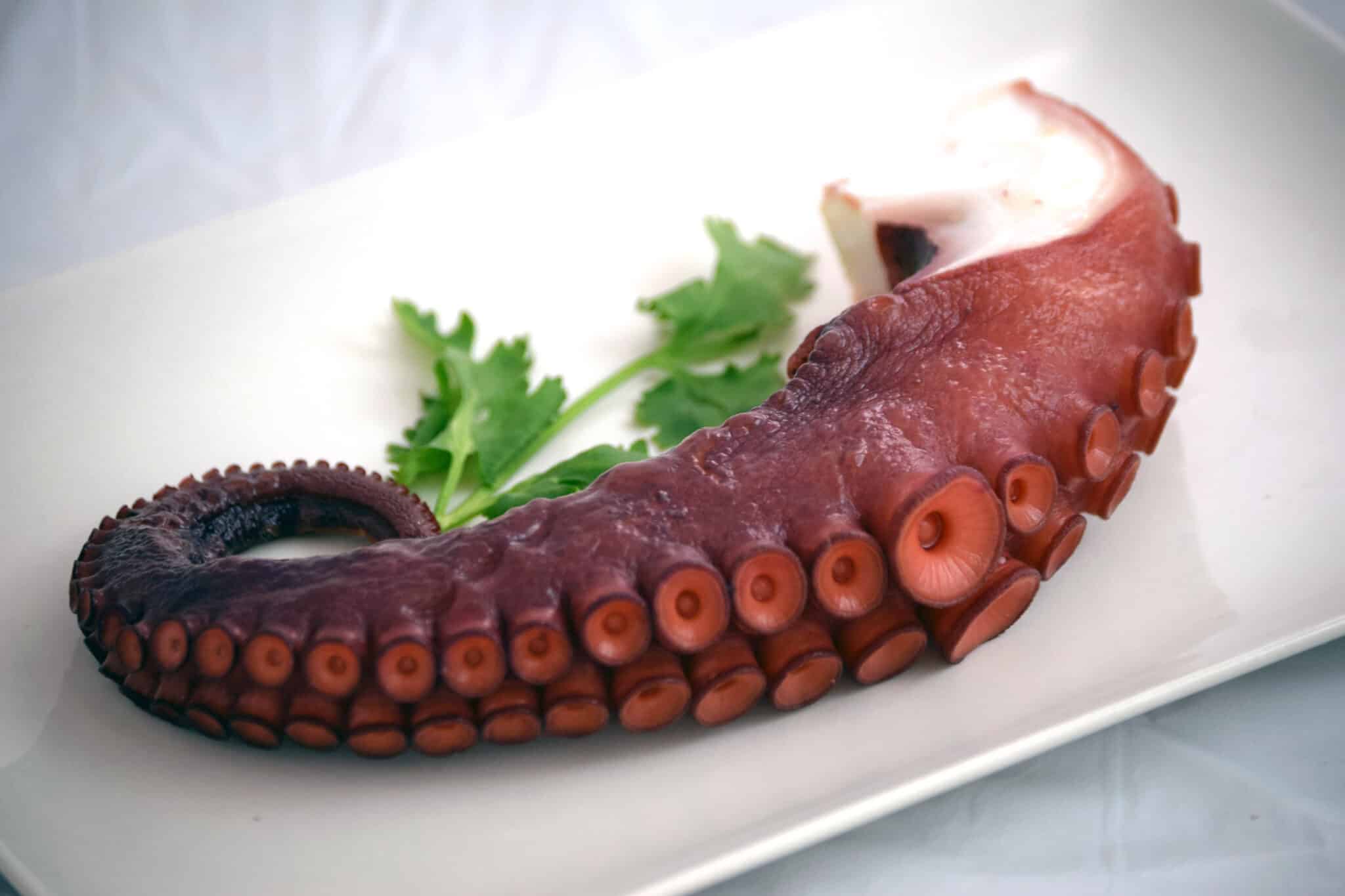 Pata de pulpo congelada en bandeja Serie Oro - Mariscos Apolo