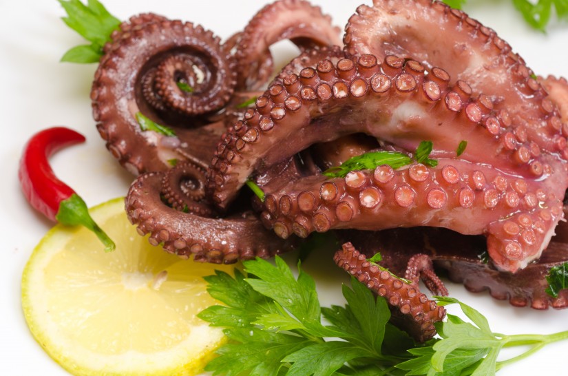 Pulpo congelado crudo de Congelados Apolo