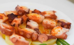 Receta de Pulpo a la gallega: productos congelados para hostelería