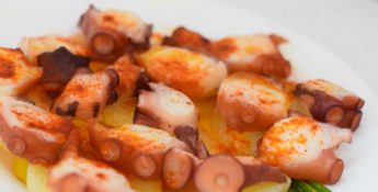 Receta de Pulpo a la gallega: productos congelados para hostelería