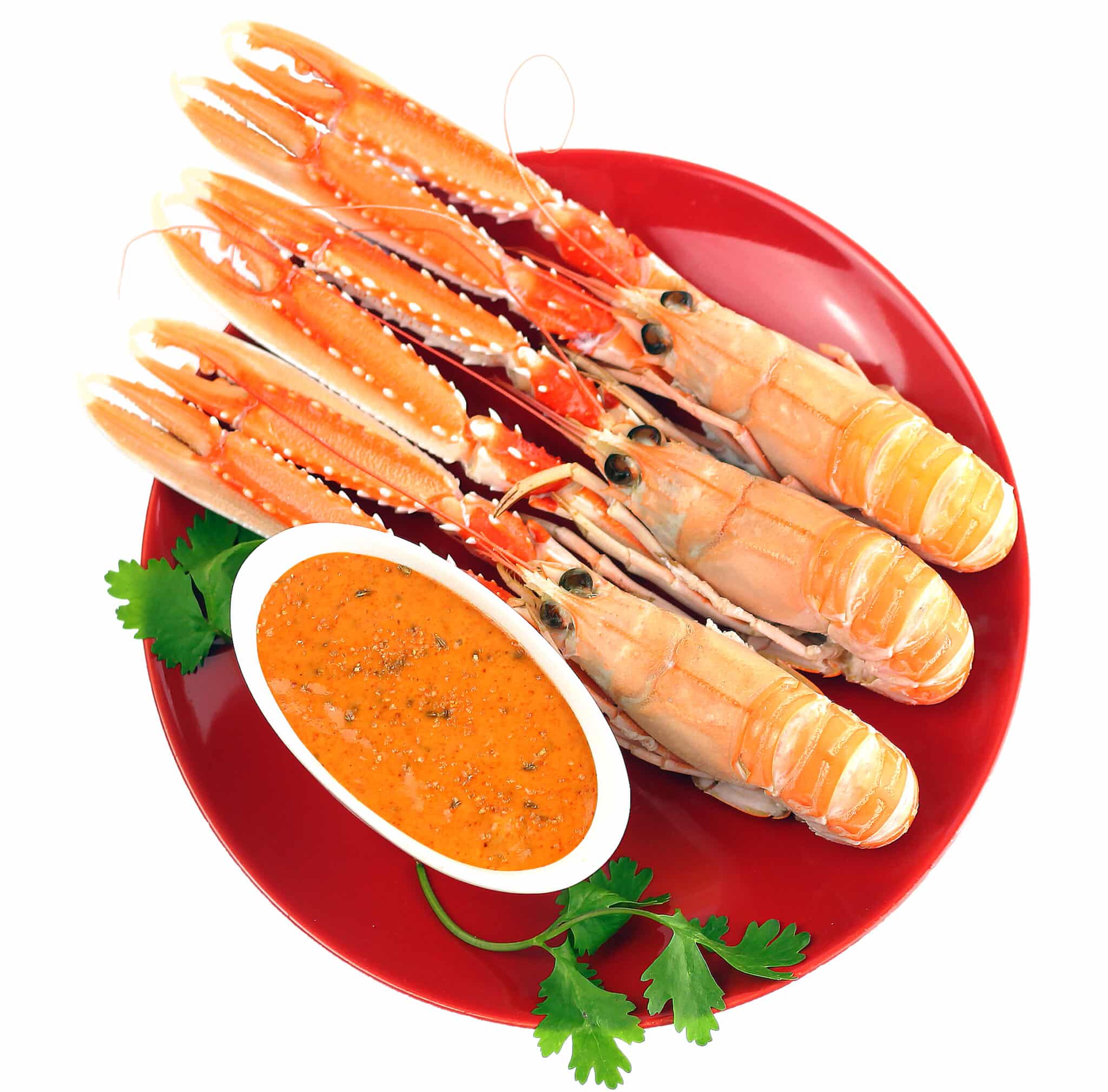 Receta Con Cigalas Cocidas Con Salsa Romesco Cocina Con Mariscos Apolo