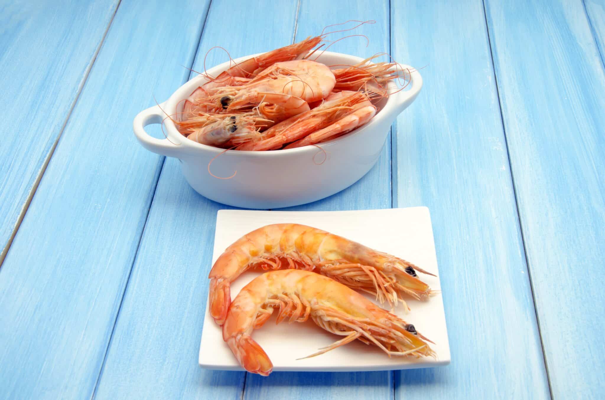 Diferencia entre gamba y langostino Congelados Apolo