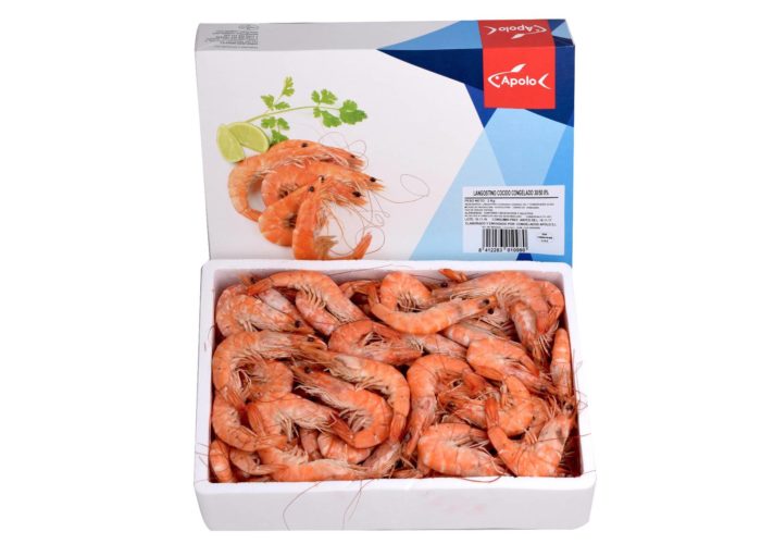 01098 Langostino cocido congelado Apolo