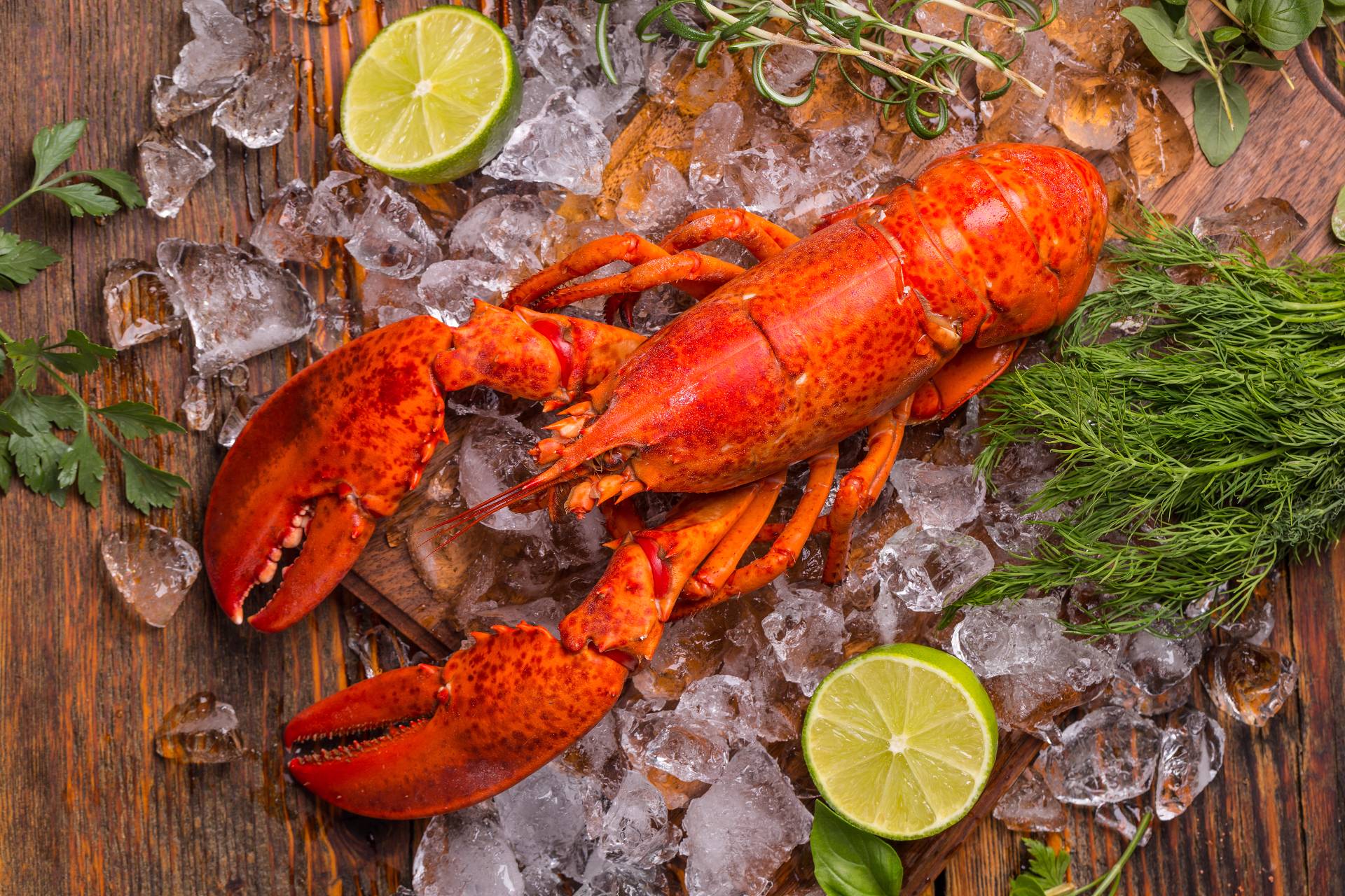 Pescados y mariscos de la A a la Z: La langosta.