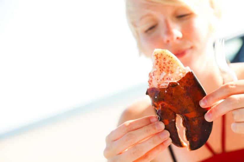 Diferencia entre la langosta y el bogavante - Diferencias entre mariscos