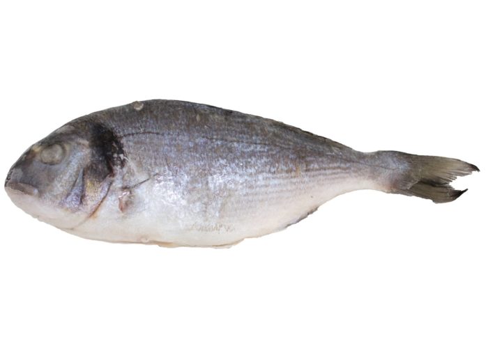 Dorada entera o en filetes - Pescados congelados Apolo