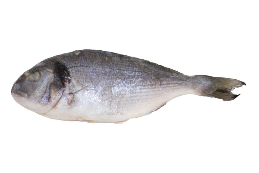 Dorada entera o en filetes - Pescados congelados Apolo