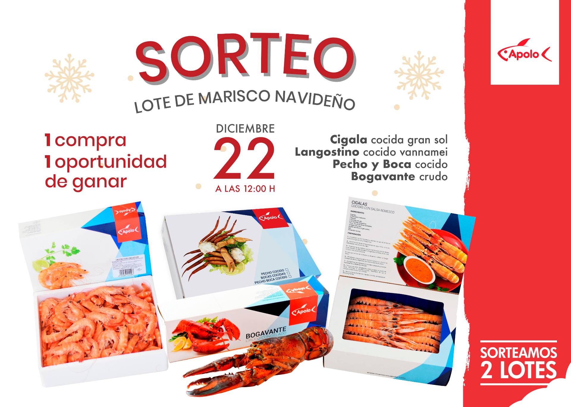 Bases del Sorteo de Navidad Tiendas Apolo 2018 - Información