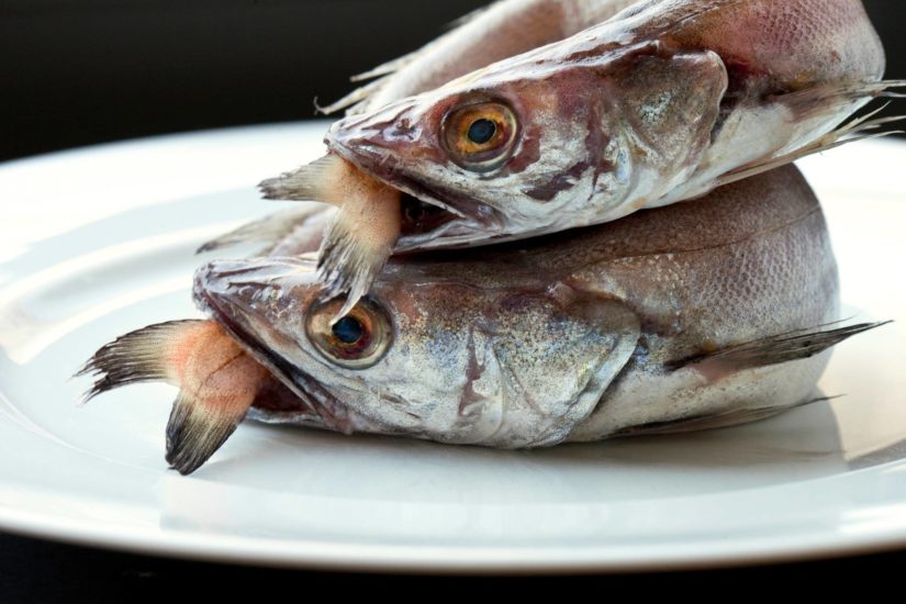 Pescados y mariscos de la A a la Z: La pescadilla