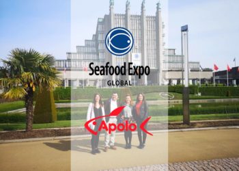 Mariscos Apolo en el Seafood Expo Global - Noticias Corporativas