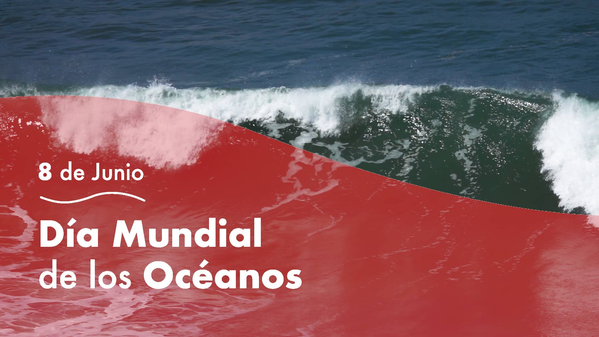 Dia Mundial Oceanos