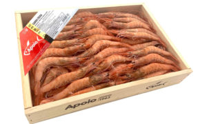 Gamba Cruda Serie Oro