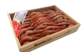 Quisquilla Cruda Serie Oro 1