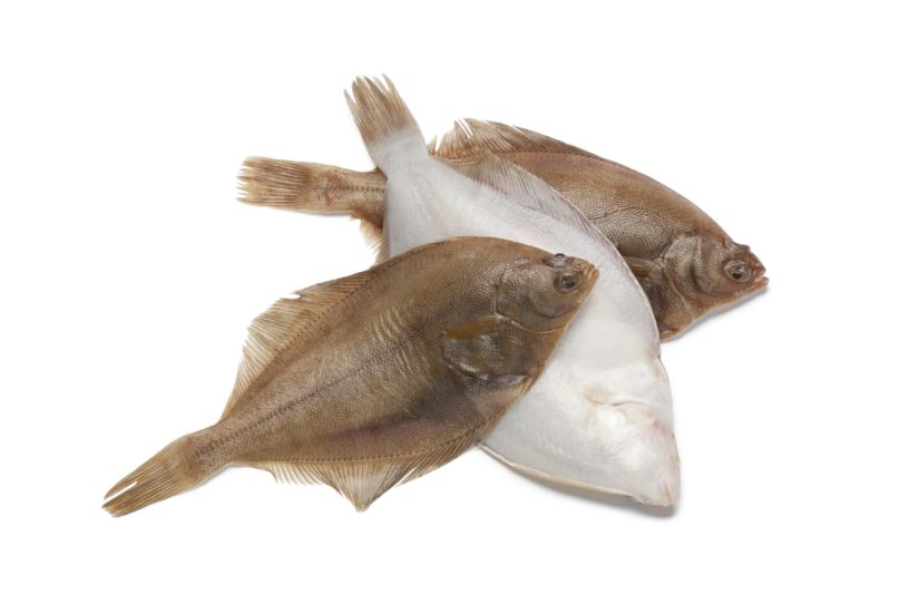Limanda Pescado Ideal Para Ninos 2