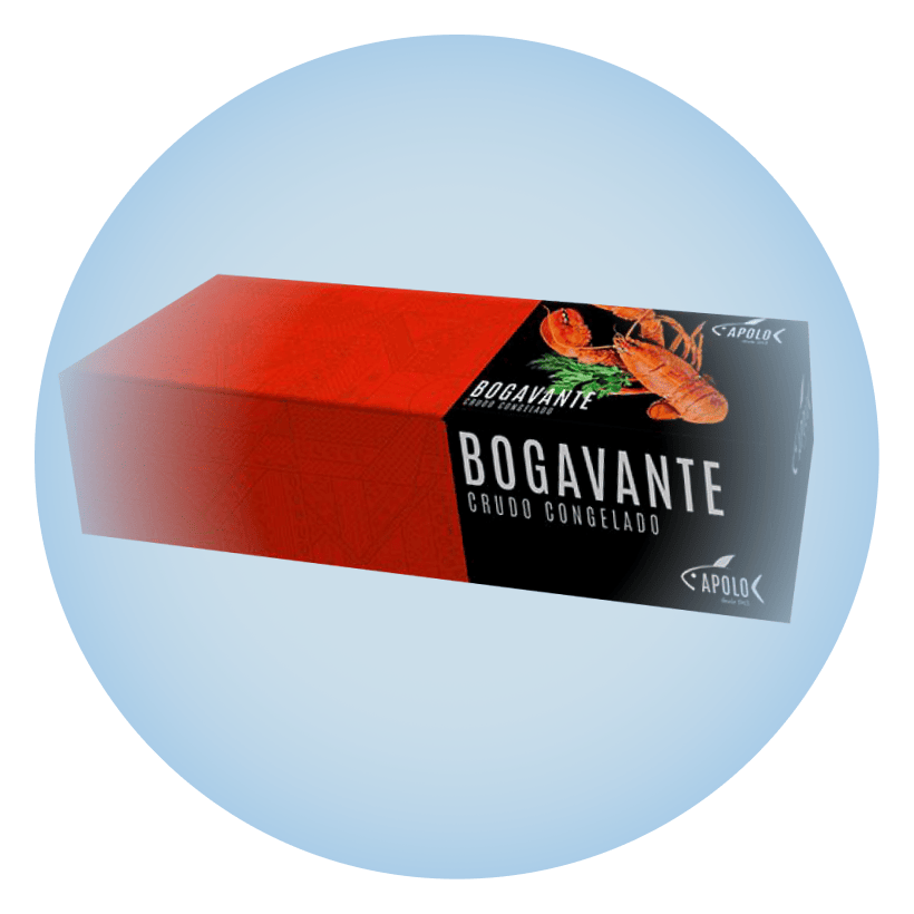 Bogavante Apolo 1