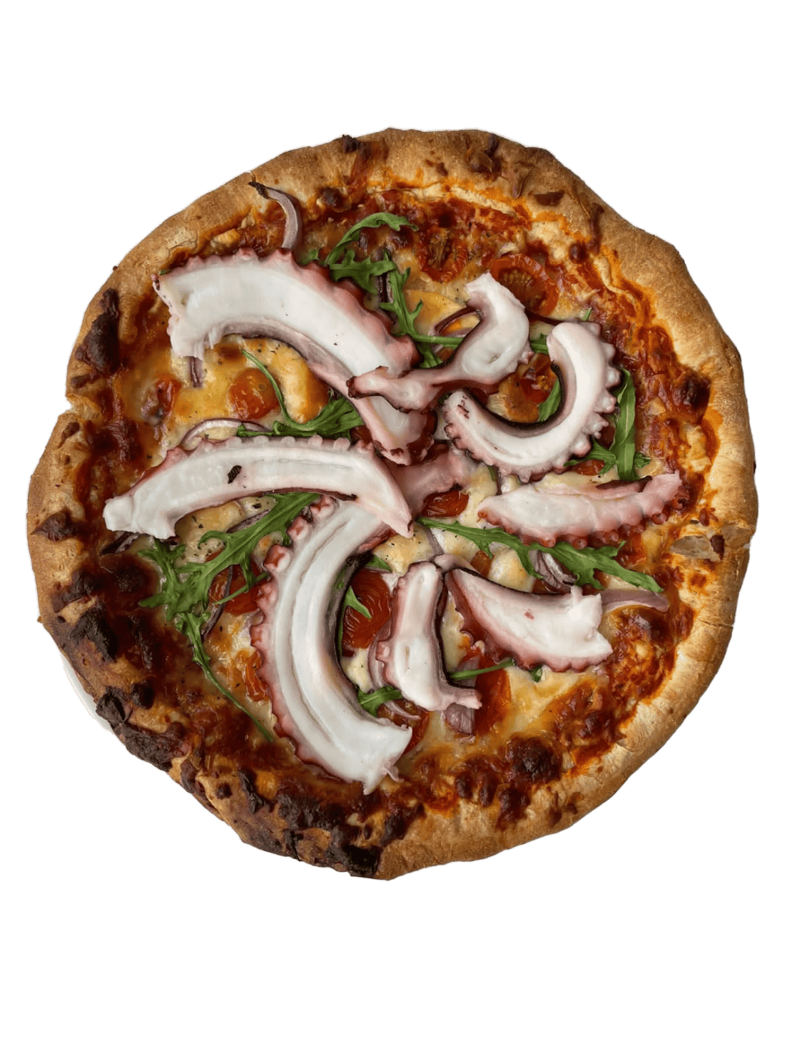 Pizza De Verduras Y Pulpo