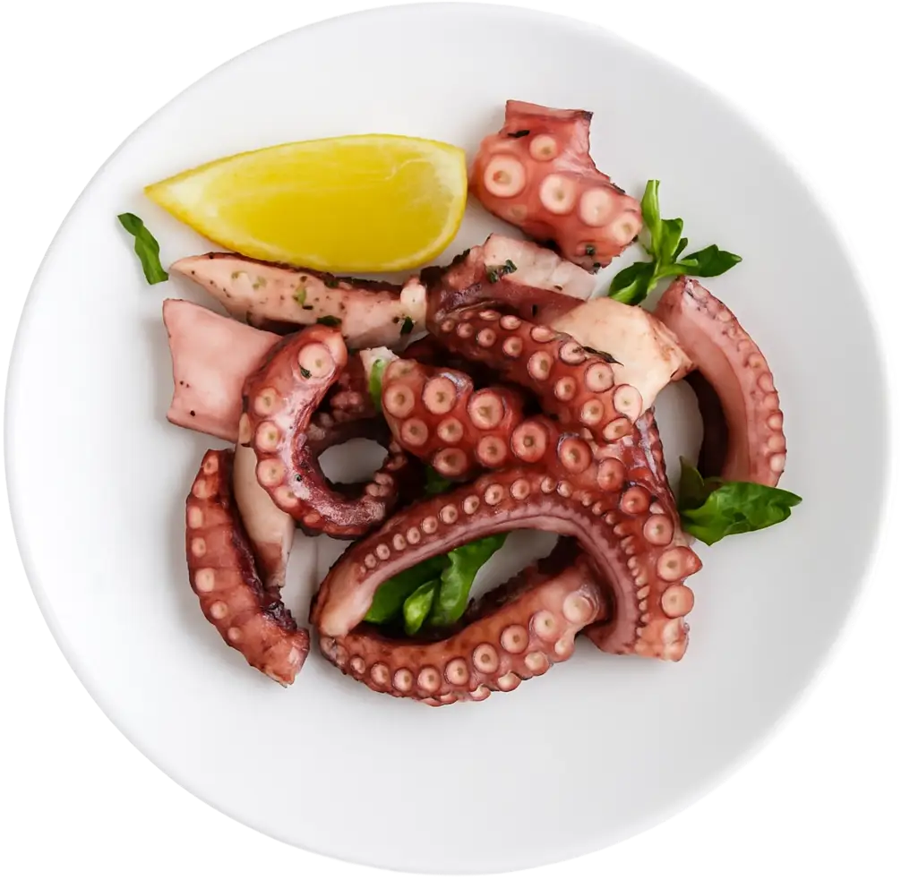 Pulpo cocido congelado
