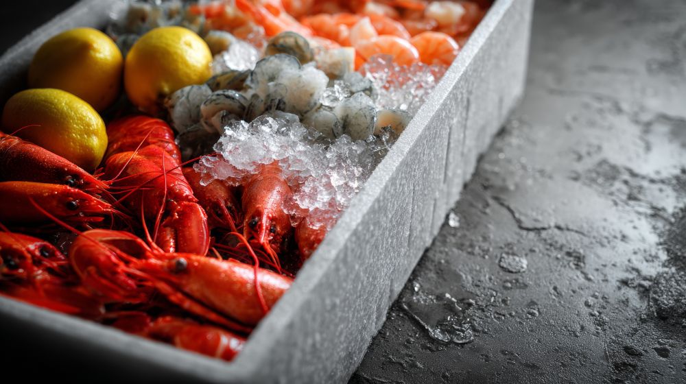 Catalogo Generale 2026